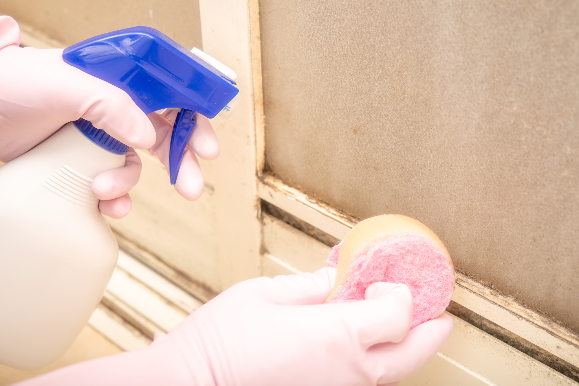 無料のサービスをご用意！の写真